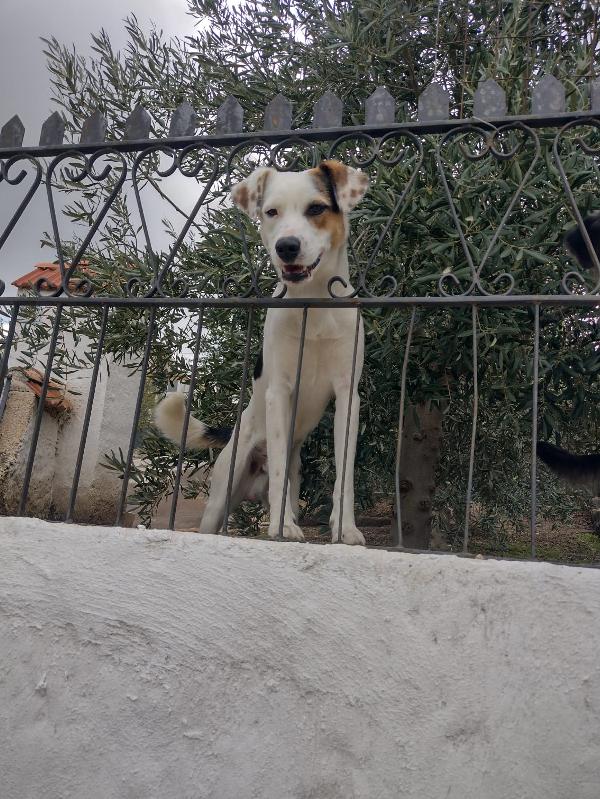 Ciao a tutti da Robin (Catania) Foto 2